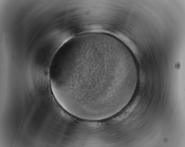 X0000103951289200810101430