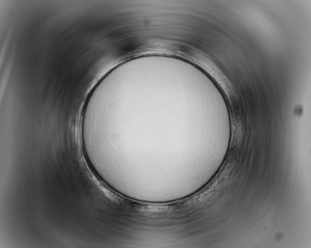 X0000103951290200810101430