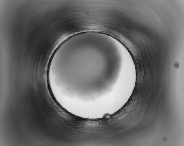 X0000103951291200810101430