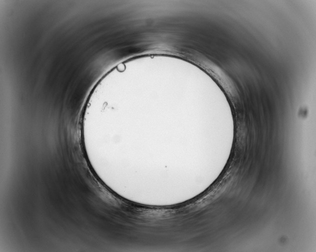 X0000103951292200810101430