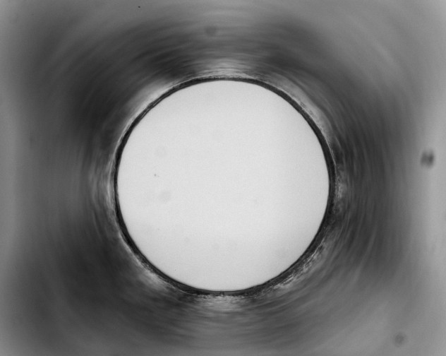 X0000103951293200810101430