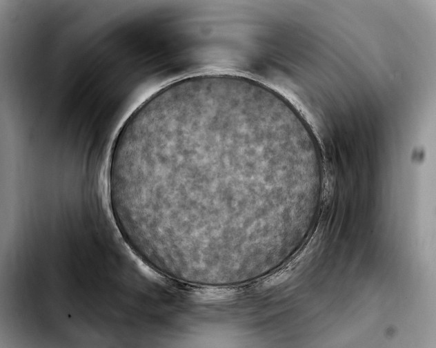 X0000103951294200810101430