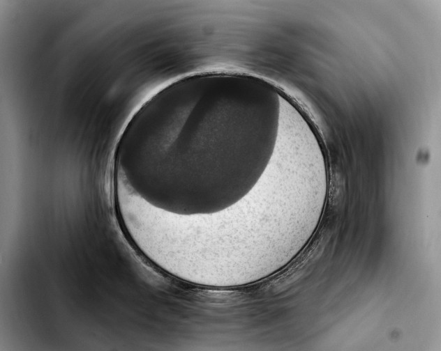 X0000103951295200810101430