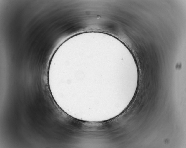 X0000103951296200810101430