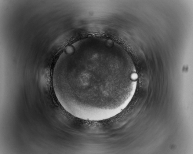 X0000103951298200810101429