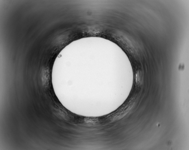 X0000103951299200810101429