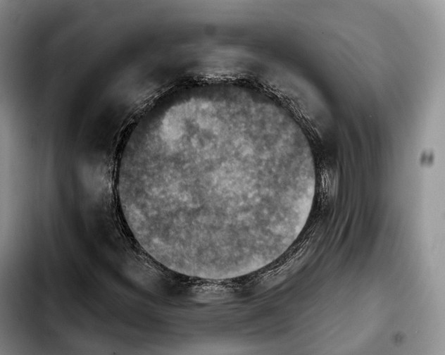 X0000103951300200810101429