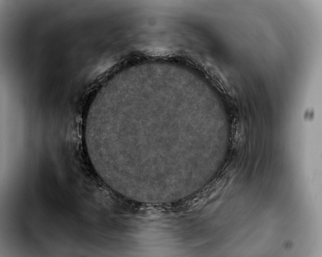 X0000103951301200810101429