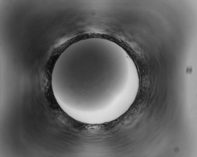 X0000103951303200810101429