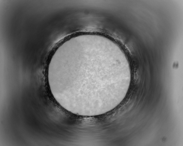 X0000103951304200810101429