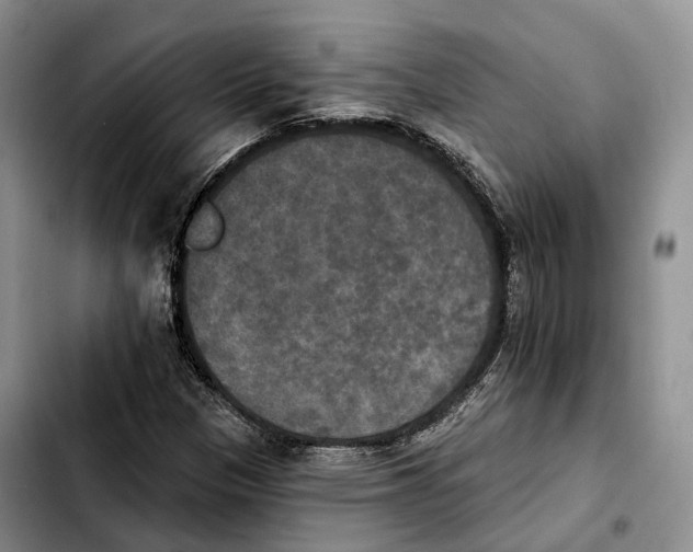 X0000103951305200810101429