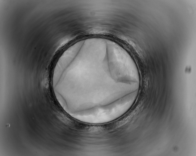 X0000103951306200810101429