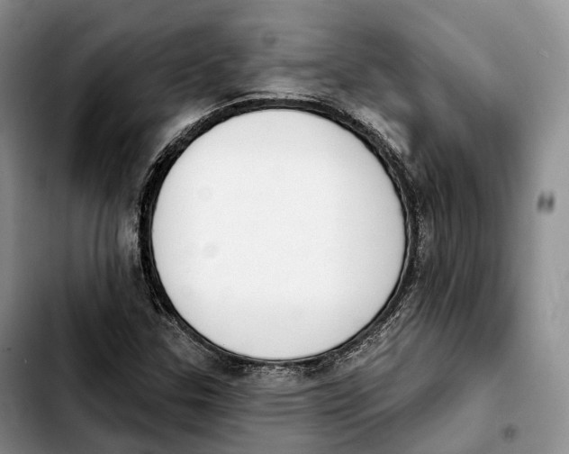 X0000103951307200810101429