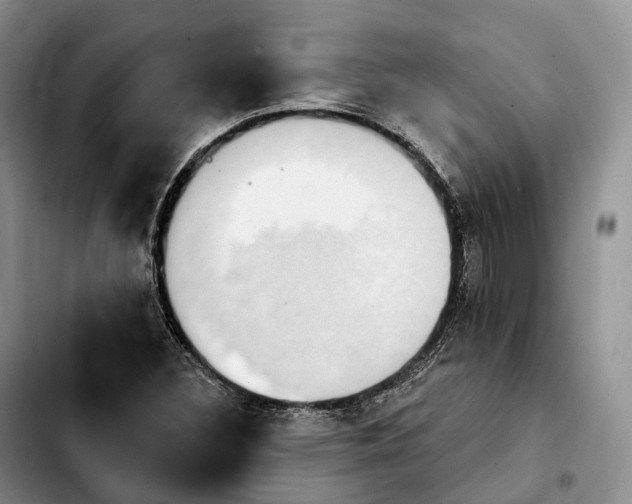 X0000103951308200810101429