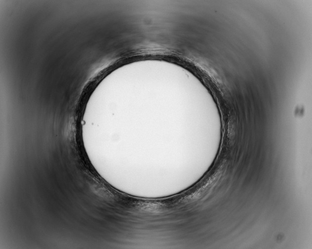 X0000103951309200810101429