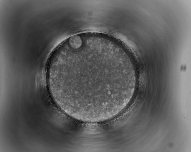 X0000103951310200810101429