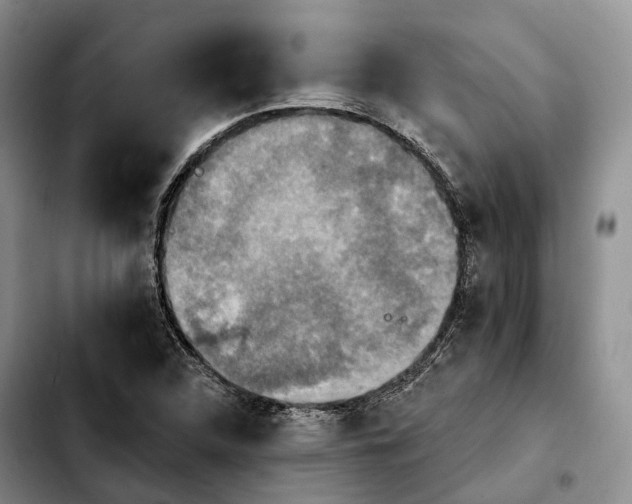 X0000103951312200810101429