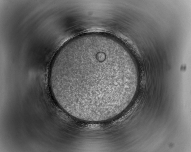 X0000103951313200810101429