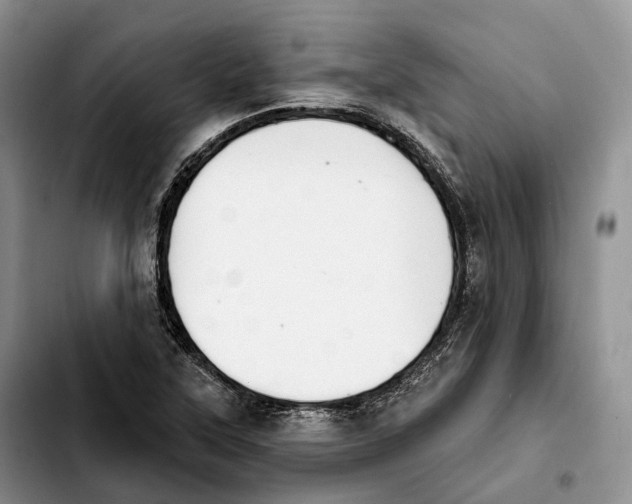 X0000103951315200810101429