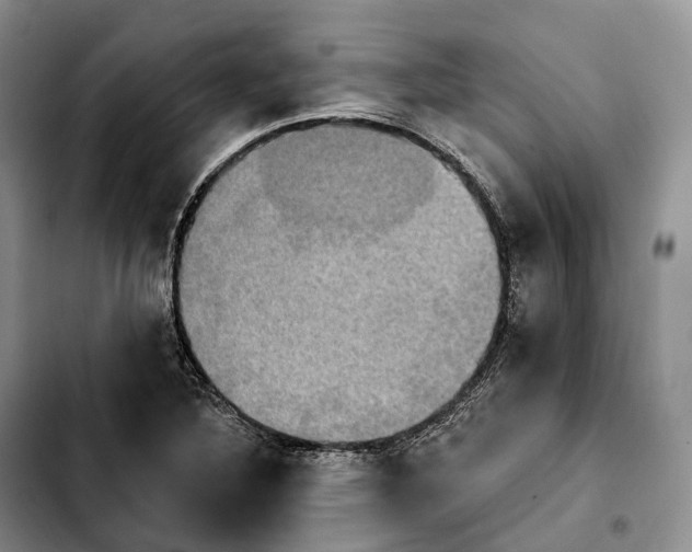 X0000103951316200810101429