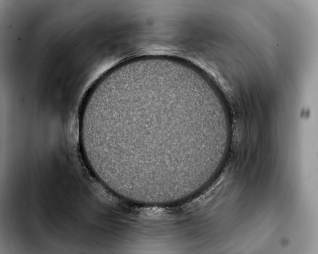 X0000103951317200810101429