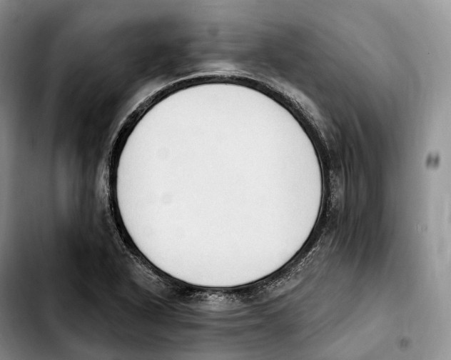 X0000103951318200810101429