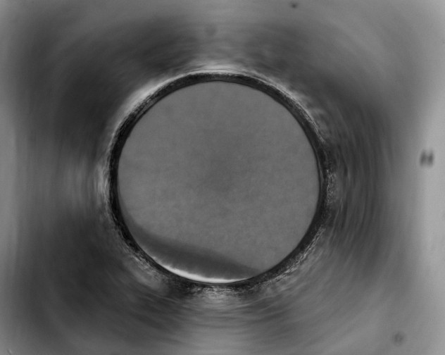 X0000103951319200810101429