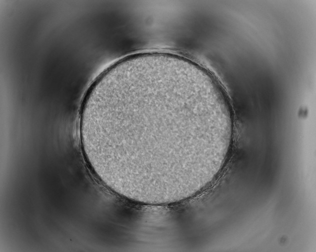 X0000103951320200810101429