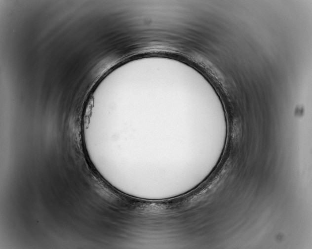 X0000103951321200810101429