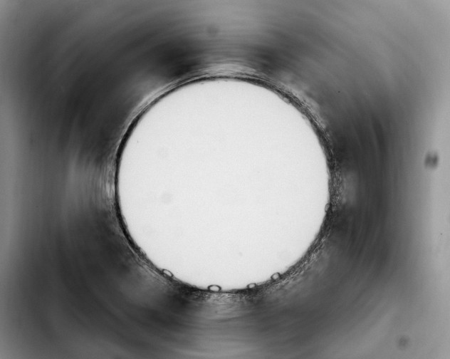 X0000103951322200810101429