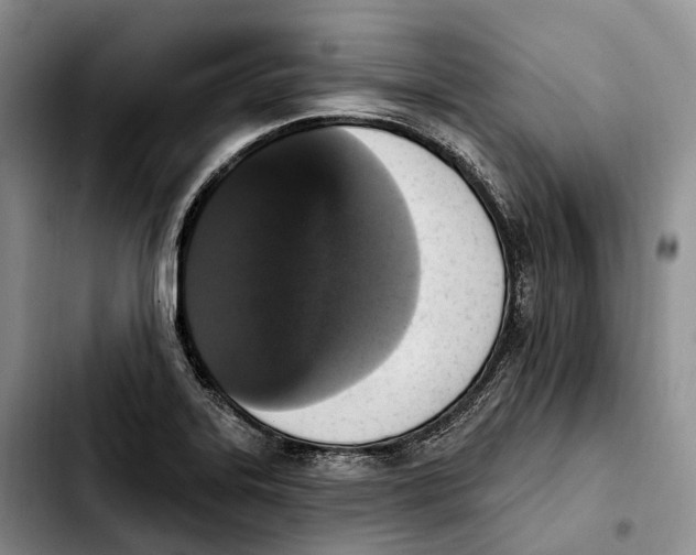 X0000103951323200810101429