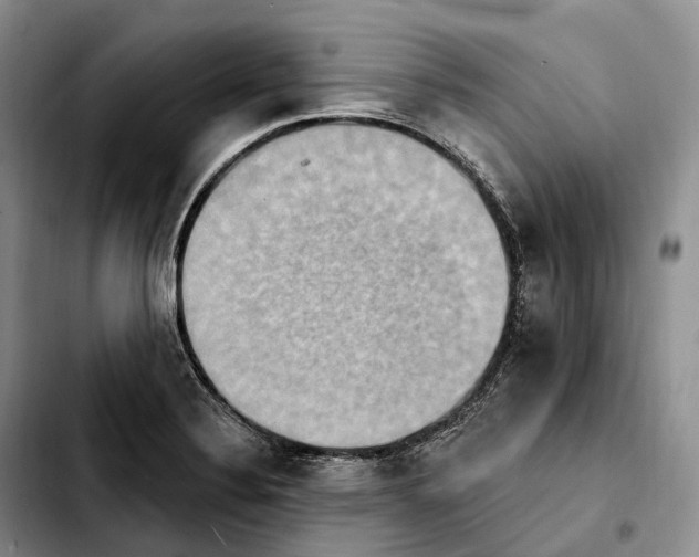 X0000103951324200810101430