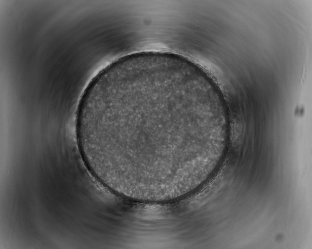 X0000103951326200810101430