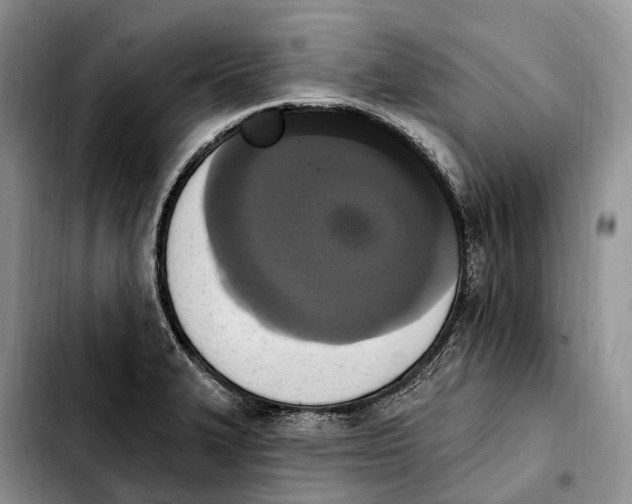 X0000103951327200810101430