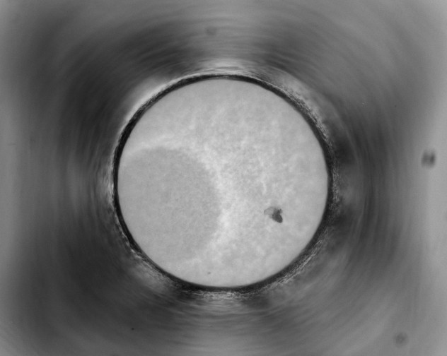 X0000103951328200810101430