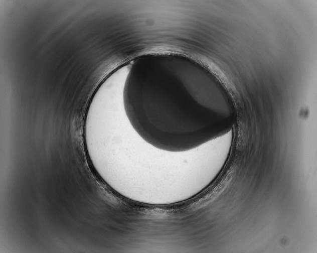 X0000103951329200810101430