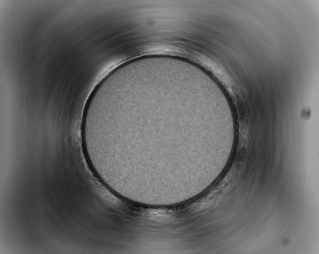 X0000103951330200810101430