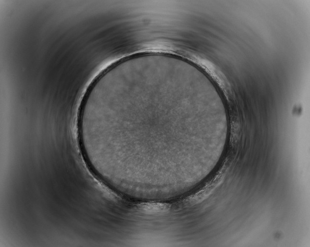 X0000103951331200810101430