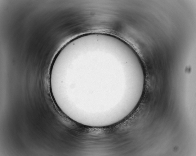 X0000103951332200810101430