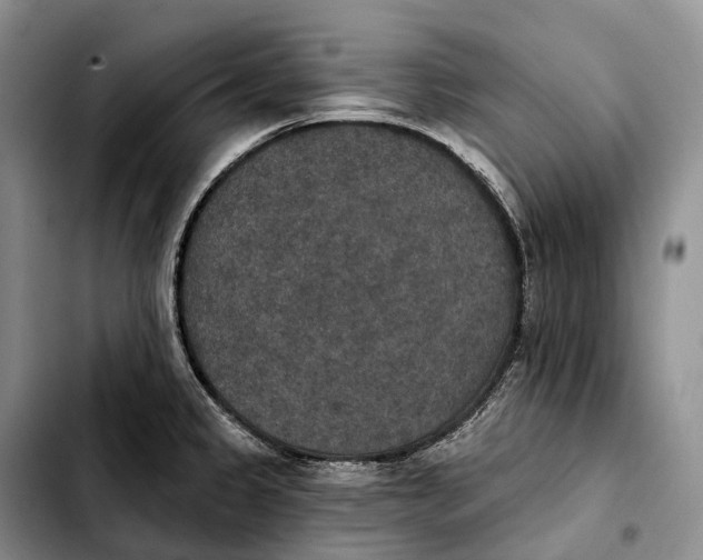 X0000103951333200810101430