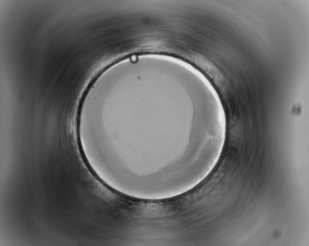 X0000103951334200810101430