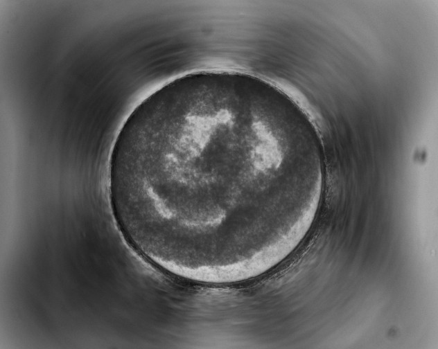 X0000103951335200810101430