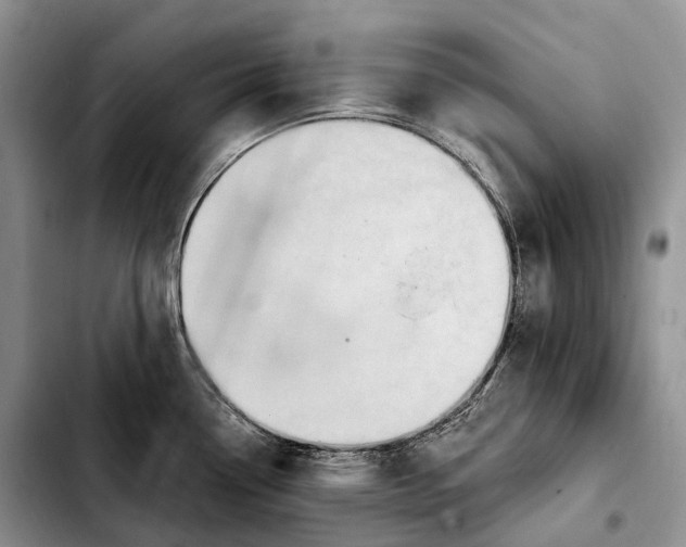 X0000103951338200810101430