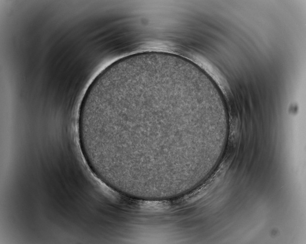 X0000103951339200810101430