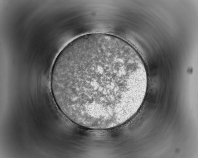 X0000103951340200810101430