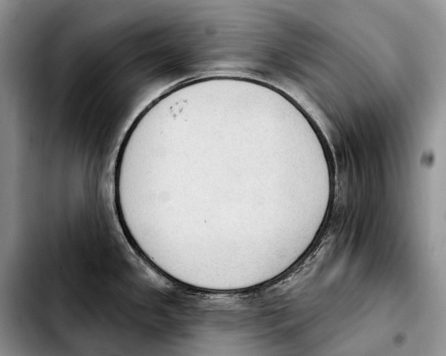 X0000103951341200810101430