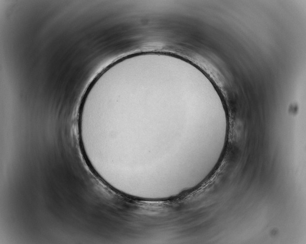 X0000103951342200810101430