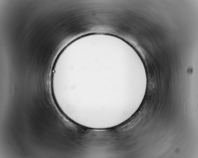 X0000103951343200810101430