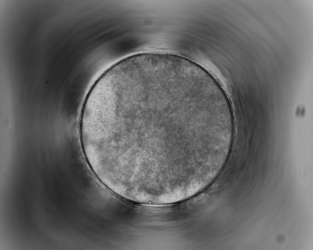 X0000103951344200810101430