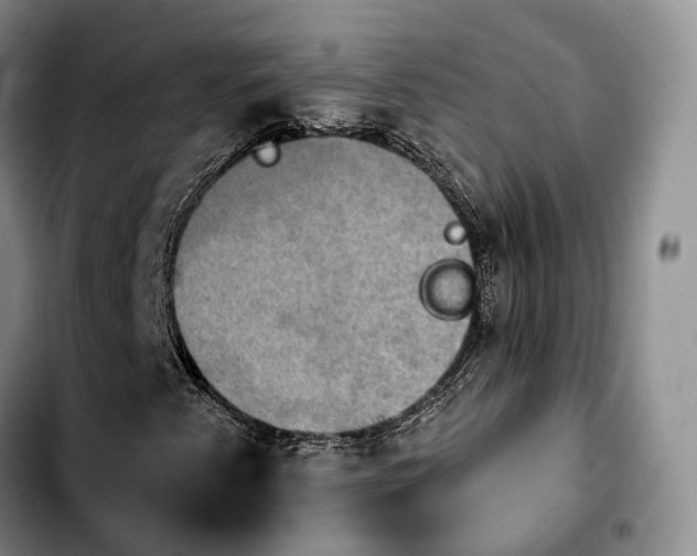 X0000103951345200810101429